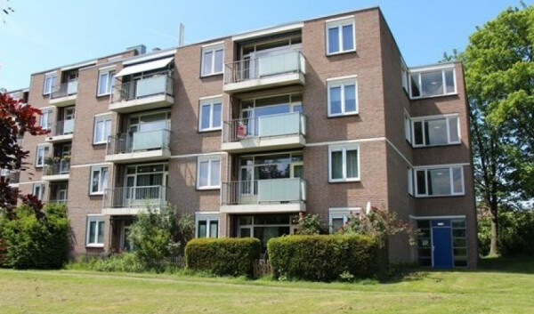 Cuyleborg