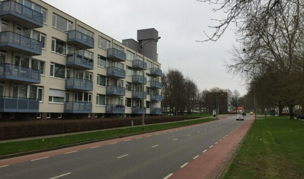 Florijnruwe
